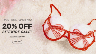 Top Online Adult Toy Stores in the US